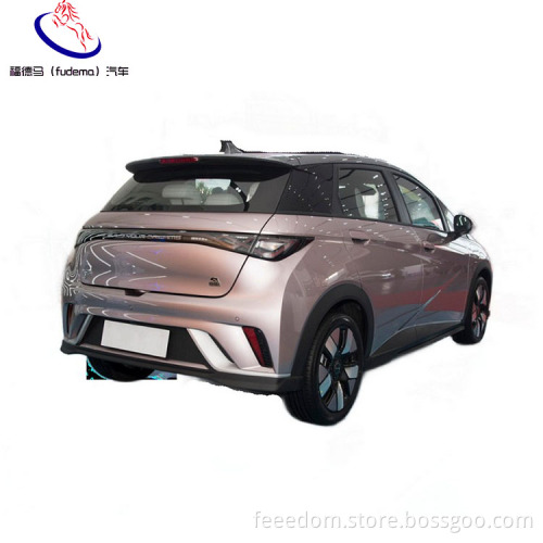 Dolphin 2023 New Popularity 5 Seats Powered Battery Vehicle Ev Electric Car Suv